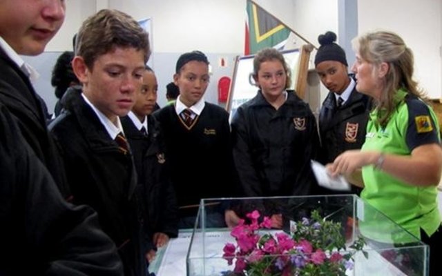 Gansbaai WCC Skole Ekspo 4